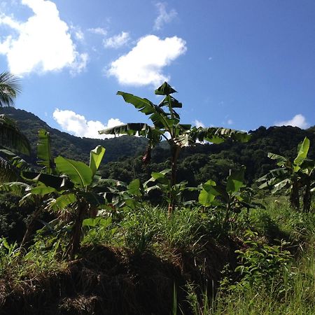 Villa Roots Jungle Retreat Marigot Exterior foto