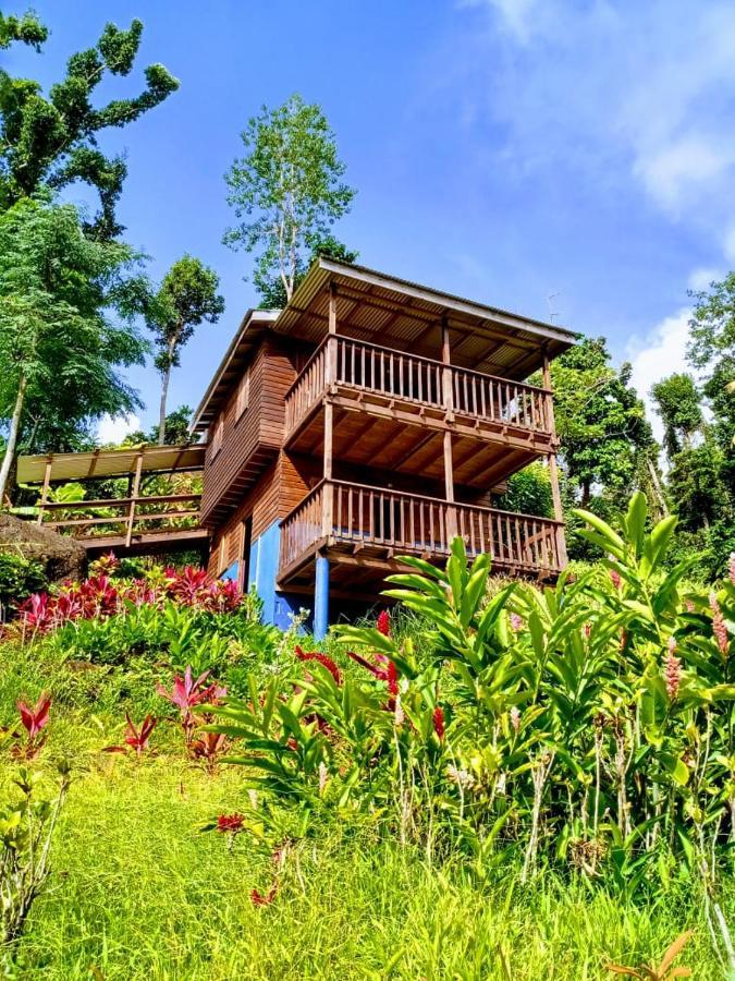 Villa Roots Jungle Retreat Marigot Exterior foto