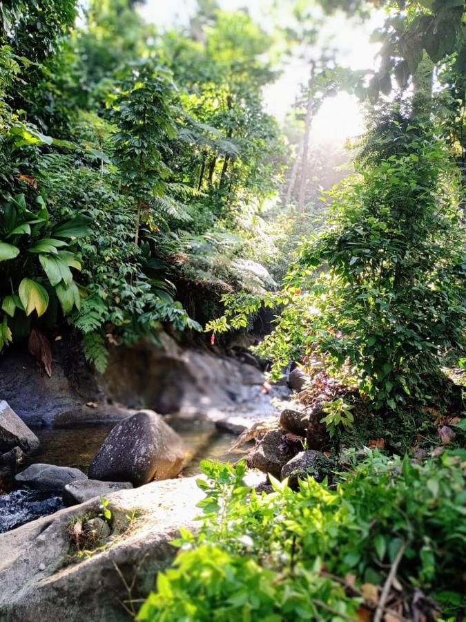 Villa Roots Jungle Retreat Marigot Exterior foto