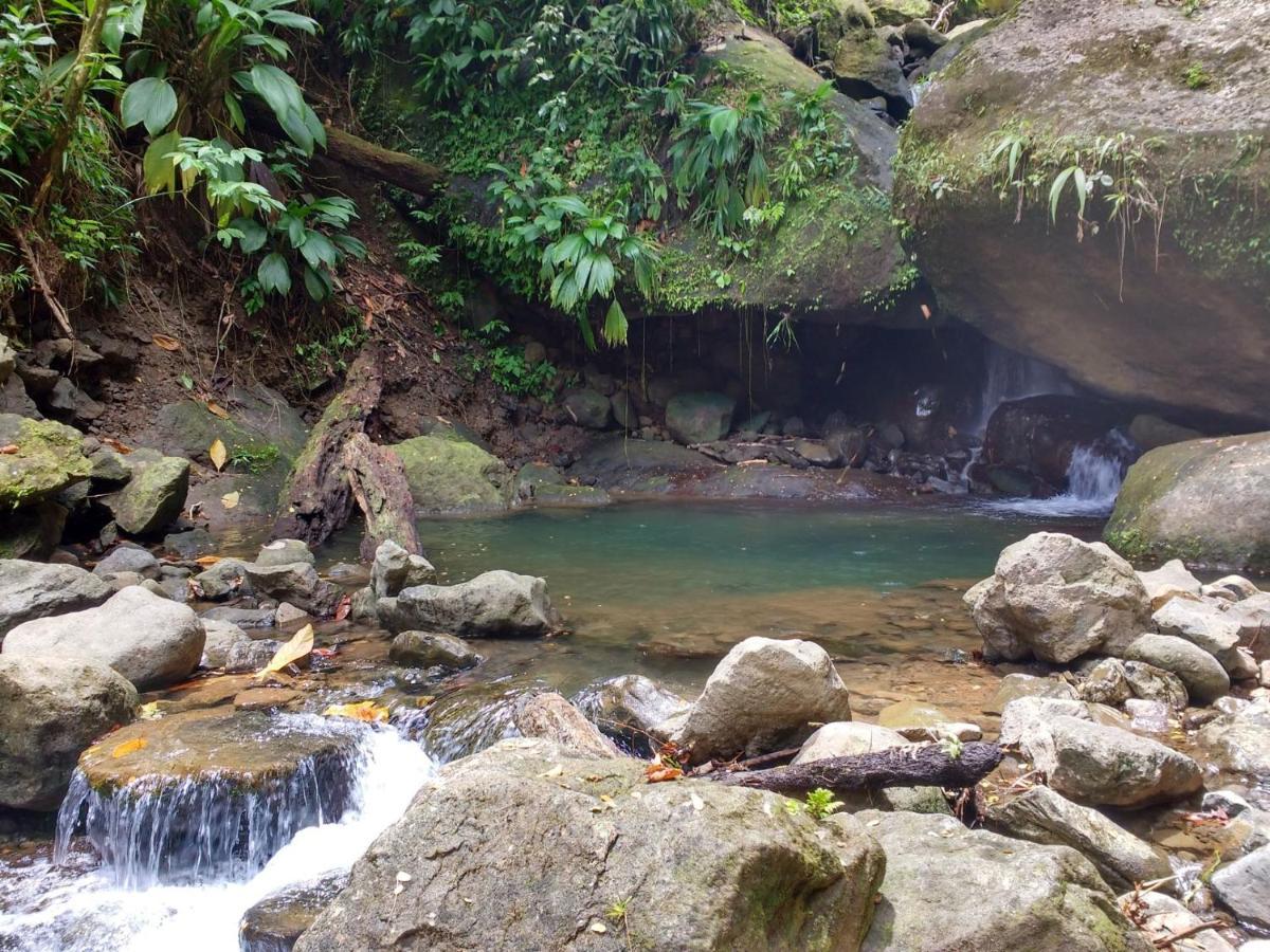 Villa Roots Jungle Retreat Marigot Exterior foto