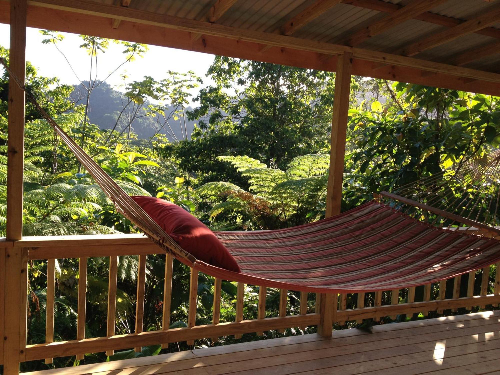 Villa Roots Jungle Retreat Marigot Exterior foto