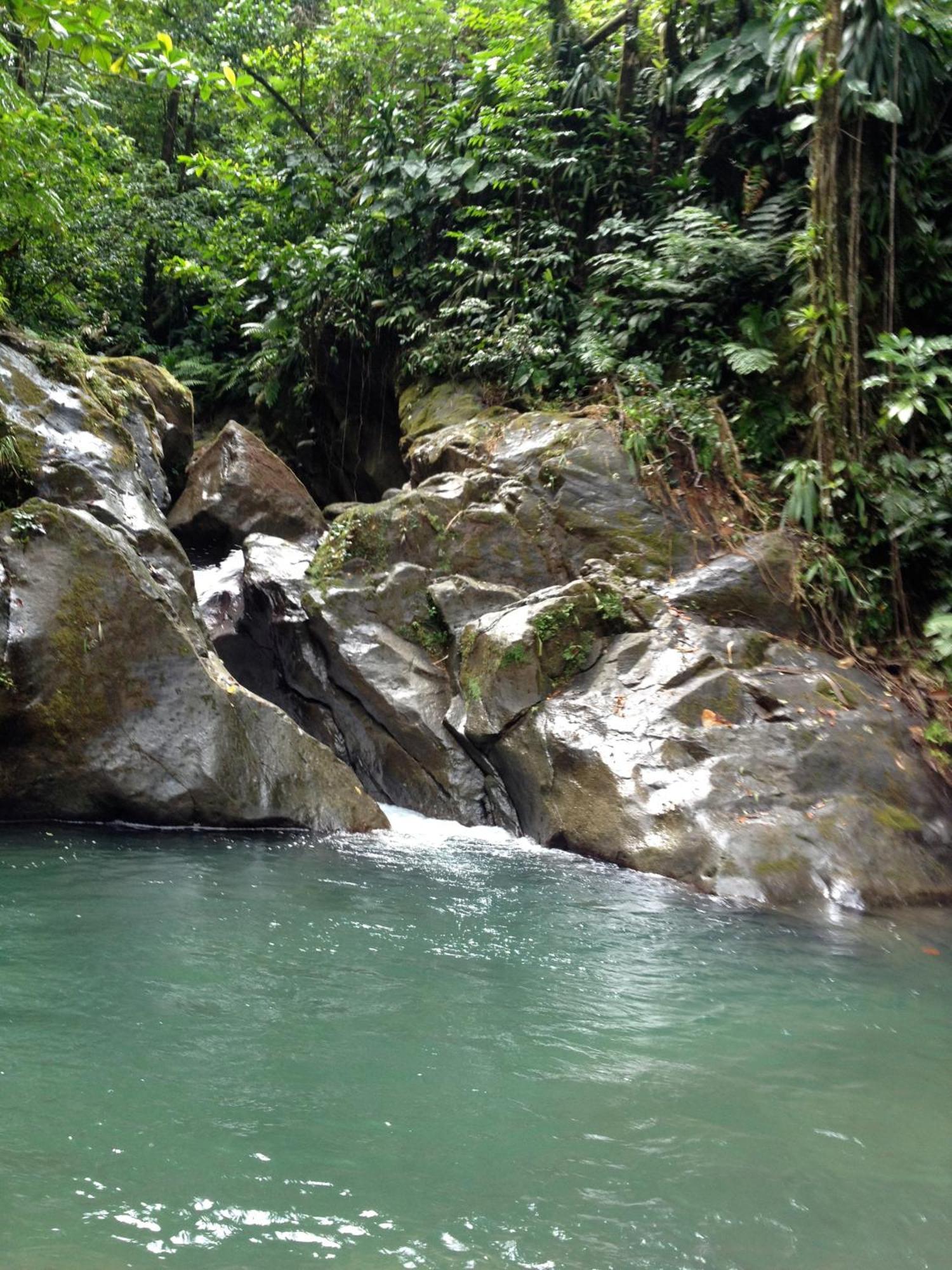 Villa Roots Jungle Retreat Marigot Exterior foto