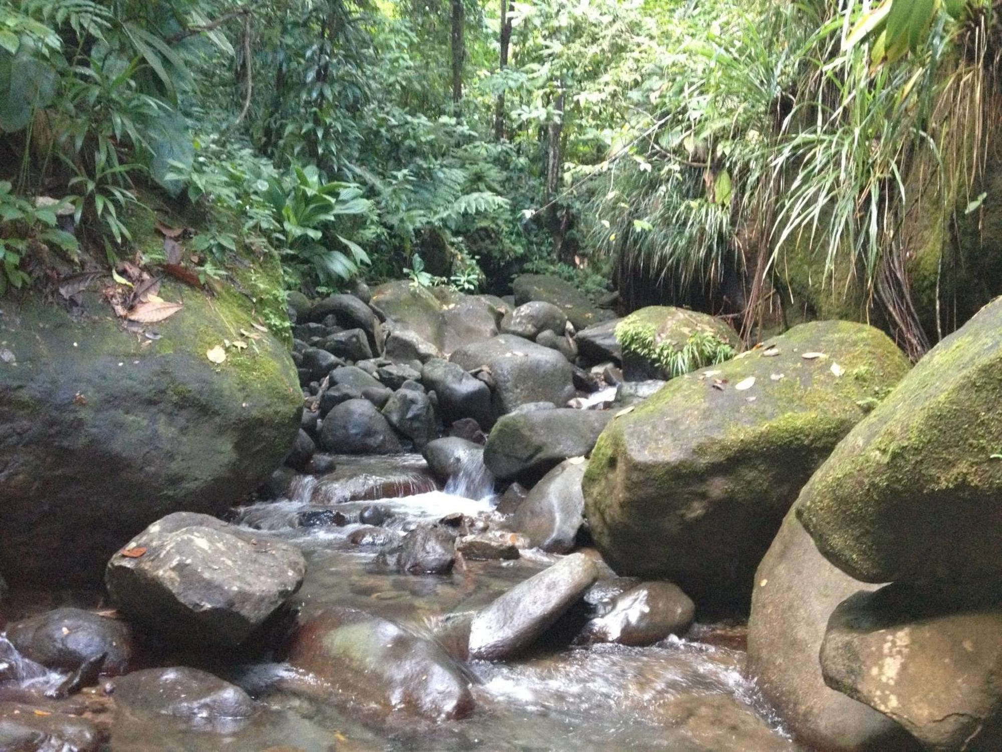 Villa Roots Jungle Retreat Marigot Exterior foto