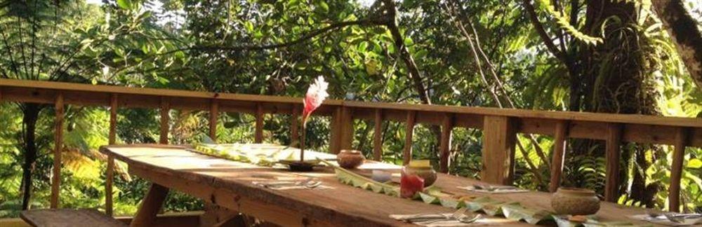 Villa Roots Jungle Retreat Marigot Exterior foto