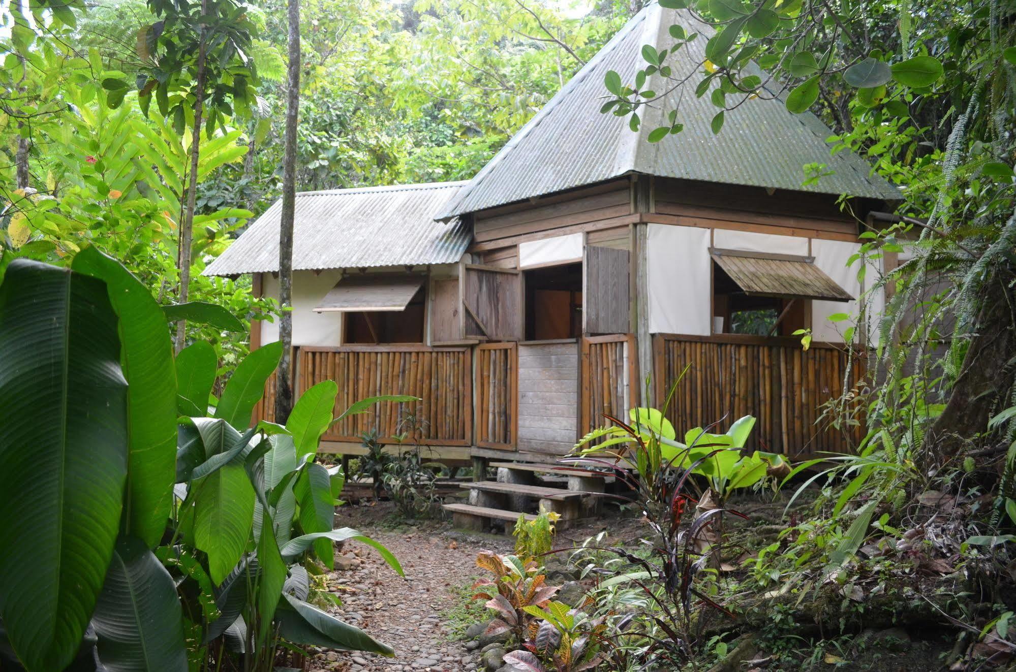 Villa Roots Jungle Retreat Marigot Exterior foto