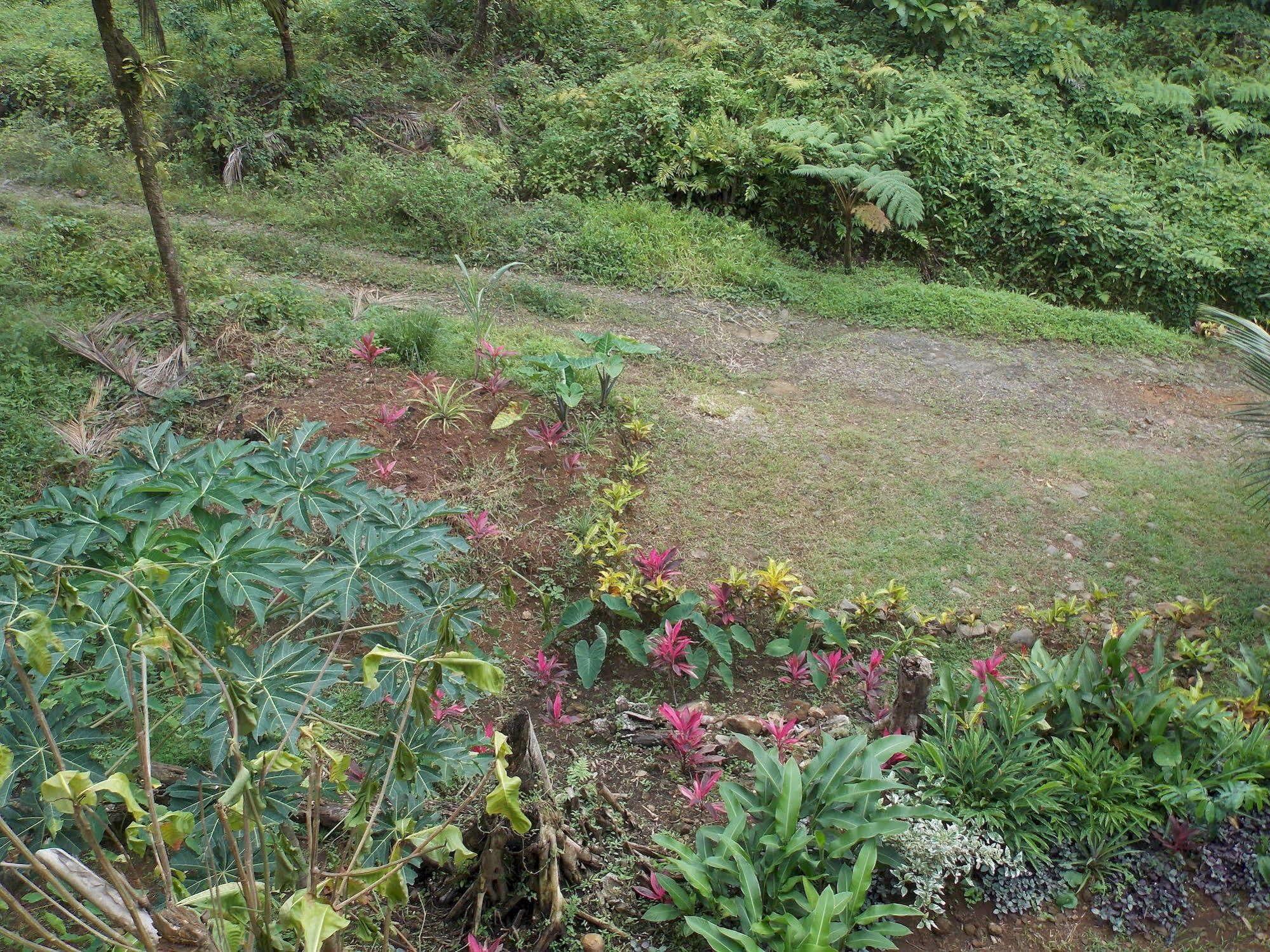 Villa Roots Jungle Retreat Marigot Exterior foto